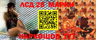 шишки Ярославль